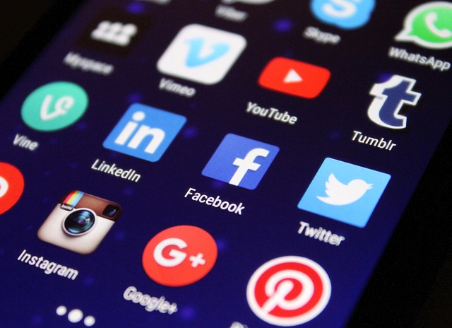 The Role of Social Media in Shaping Public Opinion