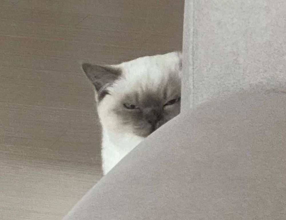 culture updates roarcultable