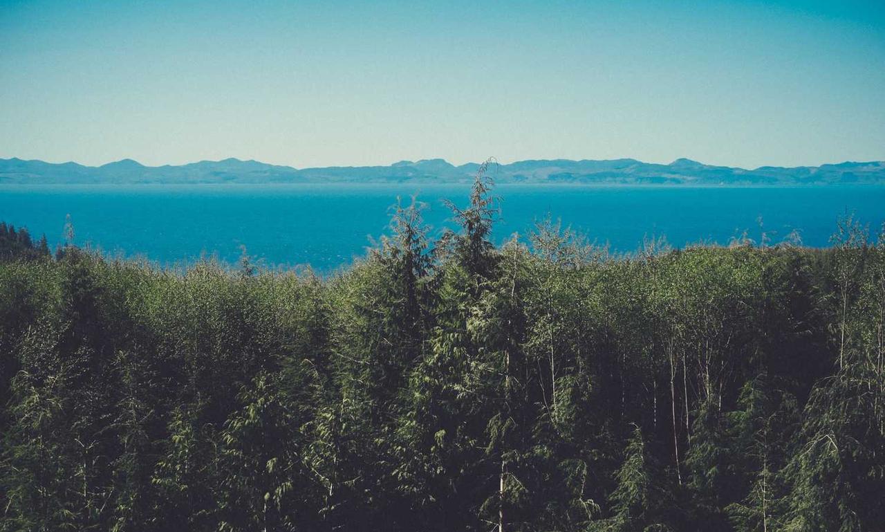 roarcultable latest car infoguide by riproar