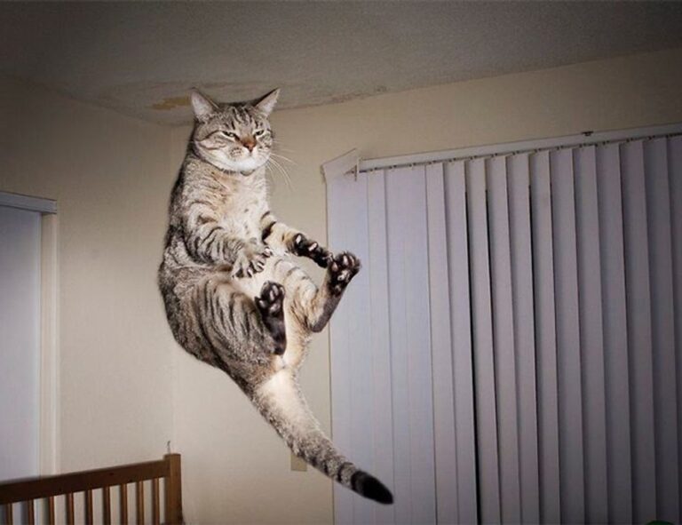 why culture matters roarcultable