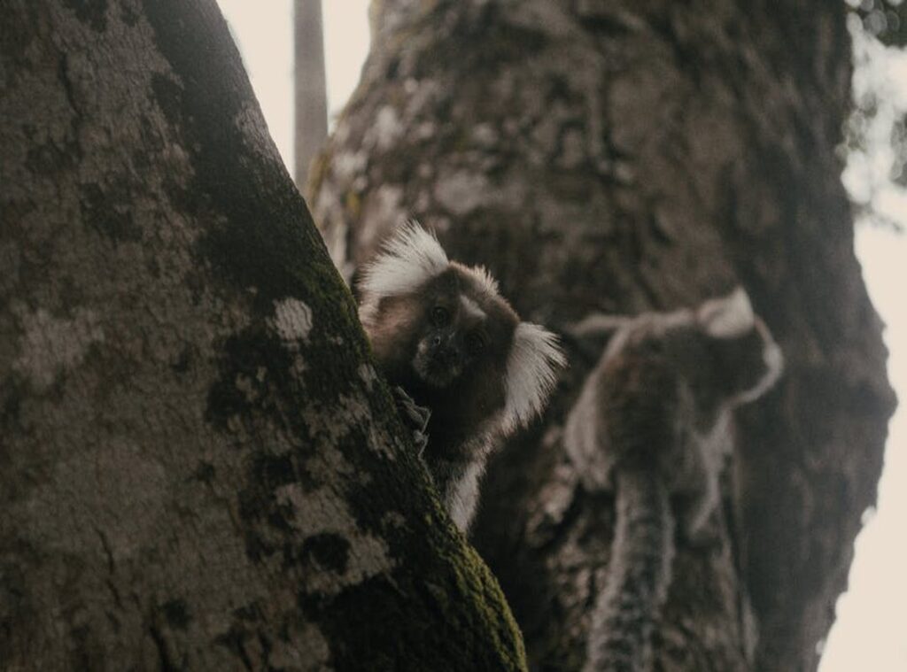 cute:kdsashfocfq= roblox avatar