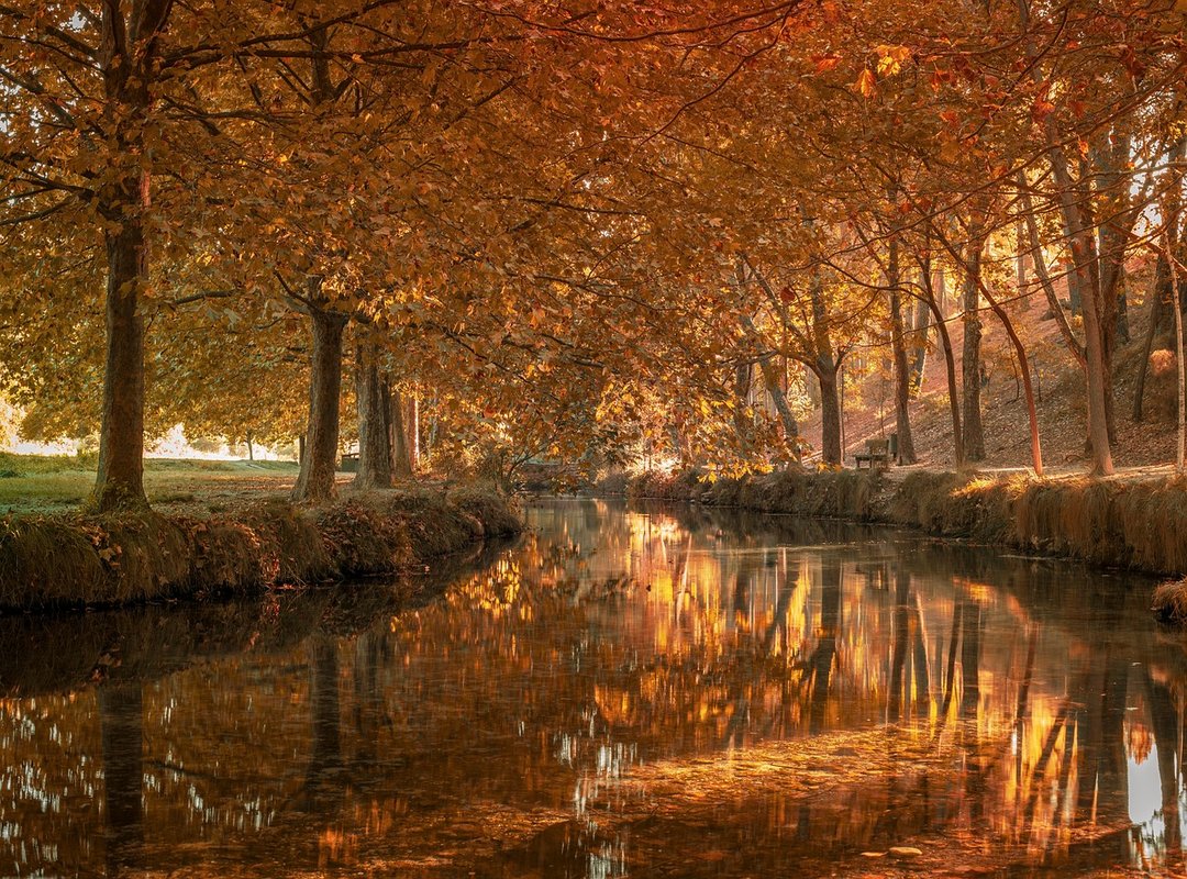 juguetes sexuales de skibidi toilet