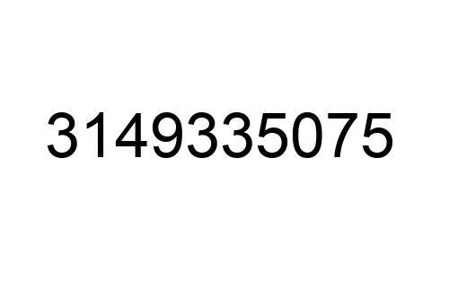 3149335075
