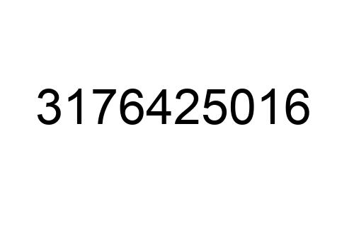 3176425016