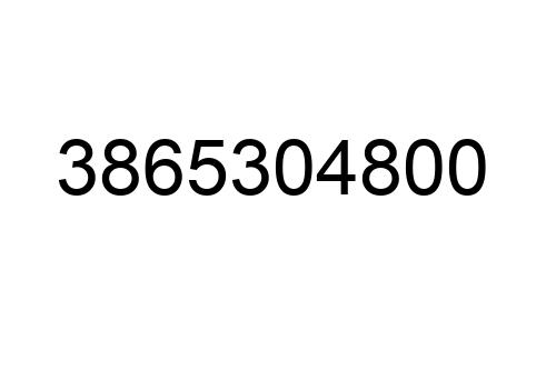 3865304800