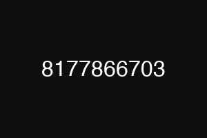 8177866703