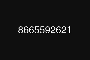 8665592621