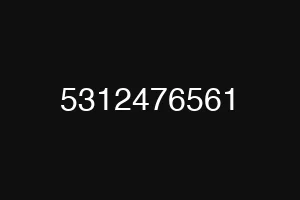 5312476561