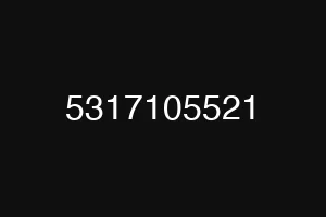 5317105521