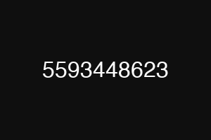 5593448623