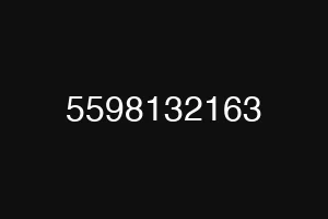 5598132163