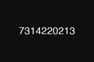 7314220213
