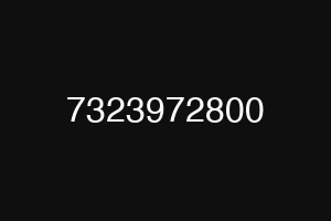 7323972800