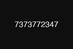 7373772347