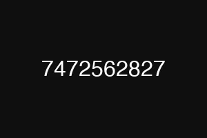 7472562827