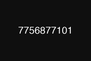 7756877101