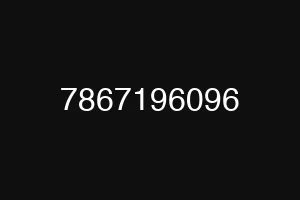 7867196096