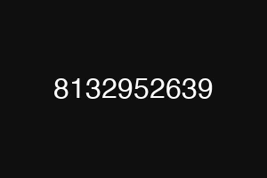 8132952639