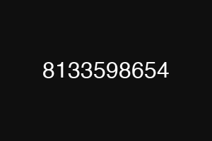 8133598654