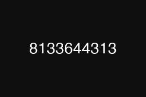 8133644313