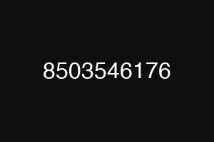 8503546176