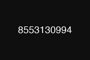 8553130994