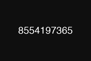 8554197365