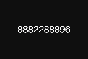 8882288896