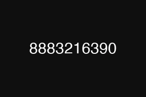 8883216390