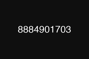 8884901703