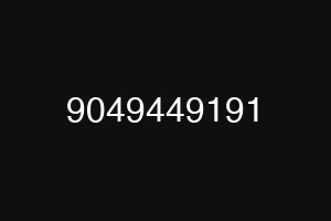 9049449191