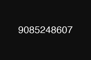 9085248607