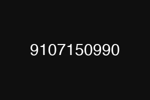 9107150990