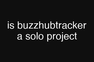 is buzzhubtracker a solo project